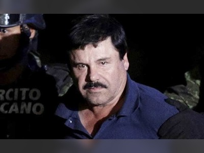 El Chapo's Sons Fed Enemies To Tigers, Tortured Them With Chillies And Corkscrews: Report