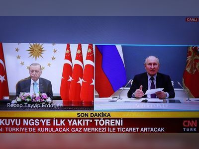 Ailing Erdogan re-emerges by video link with Putin
