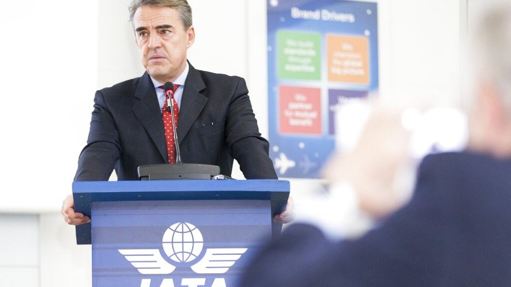 IATA Upgrades 2023 Profitability Forecast as Air Travel Passenger Numbers Soar